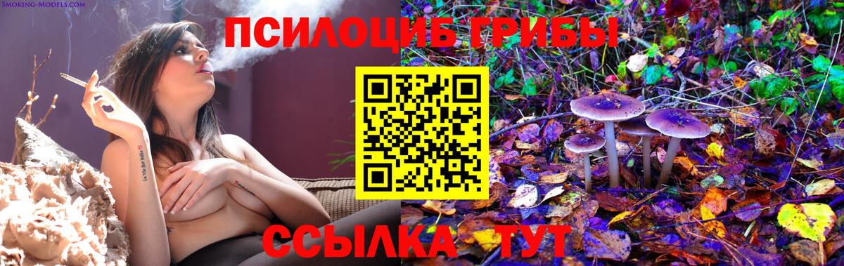 Псилоцибиновые грибы ЛСД Протвино