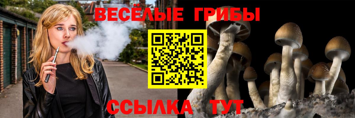 продажа наркотиков  Псилоцибиновые грибы Cubensis  Вход с VPN  Протвино 