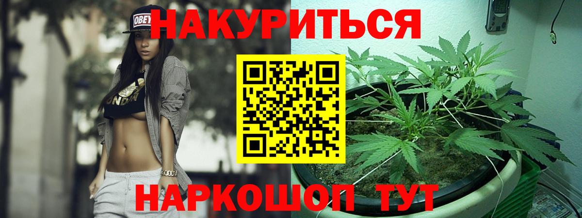 Шишки марихуана MAZAR  Бошки марихуана конопля  МАРИХУАНА THC 21%  Марихуана конопля  Протвино  Вход с VPN 